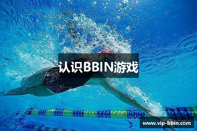 认识BBIN游戏